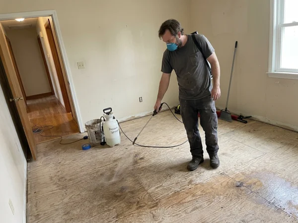 Subfloor treated with enzyme digester after urine saturation